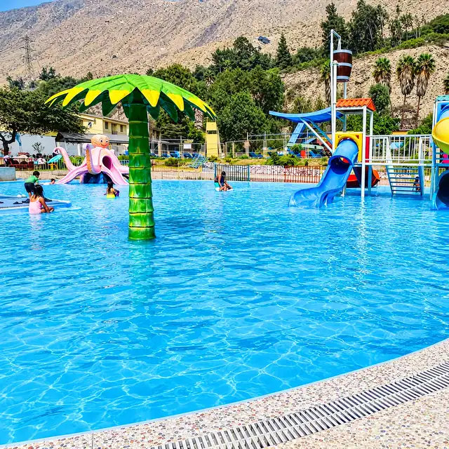 Piscina con palmera de agua y toboganes